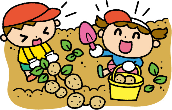 7/8ジャガイモの収穫(全園児)